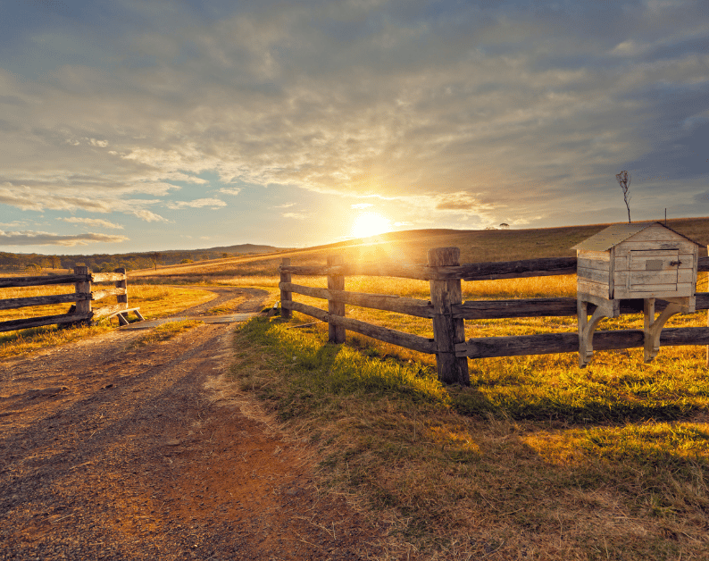 Wildlife Management for Ranchers ​