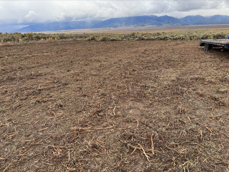 farmland and agricultural clearing
