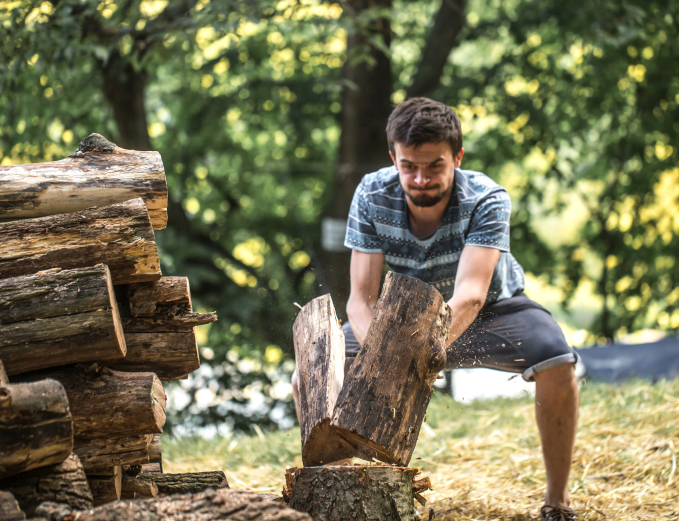 Tree Removal & Stump Grinding in Utah - LowDown Land Clearing