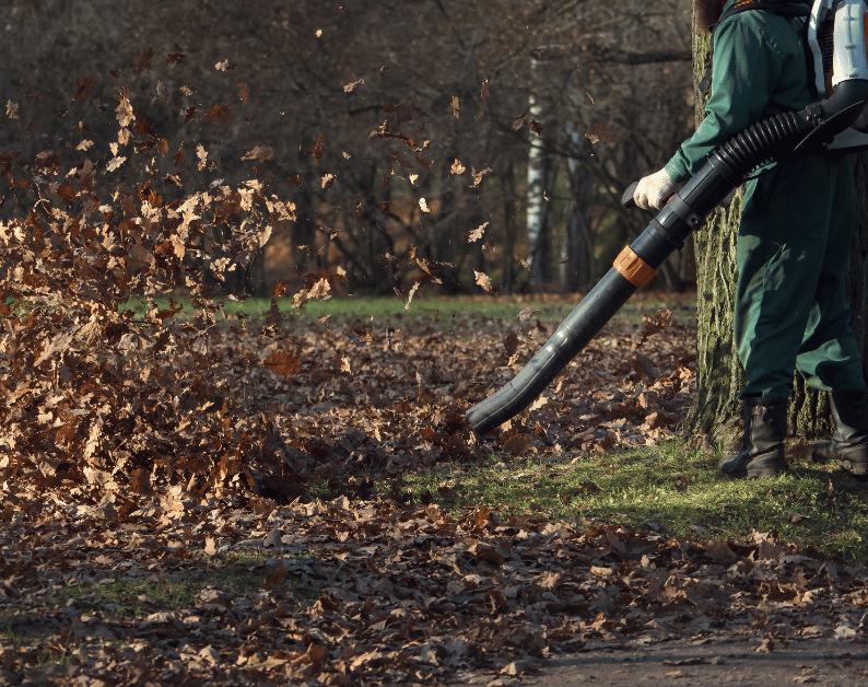 Brush Clearing and Underbrush Removal Process