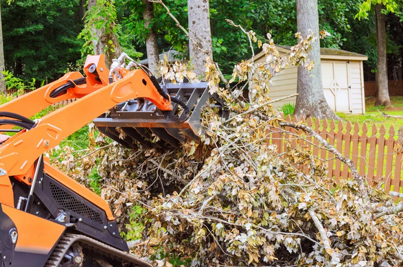 What Homeowners Should Know About Residential, Cabin, and Homestead Clearing
