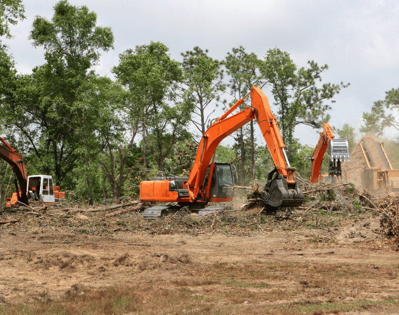 Why Fire Prevention Clearing Matters