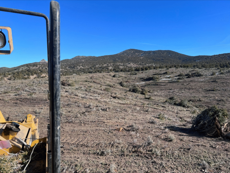 Commercial Land Clearing Services Available in Utah