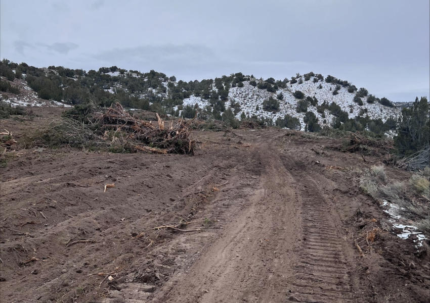 Commercial Land Clearing Solution in Utah