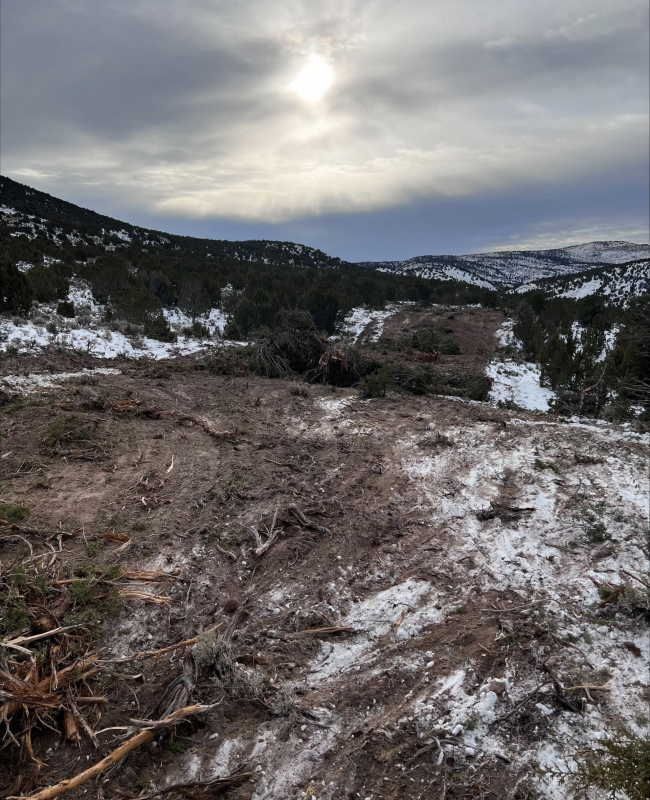 Industrial Land Clearing Solutions in Utah