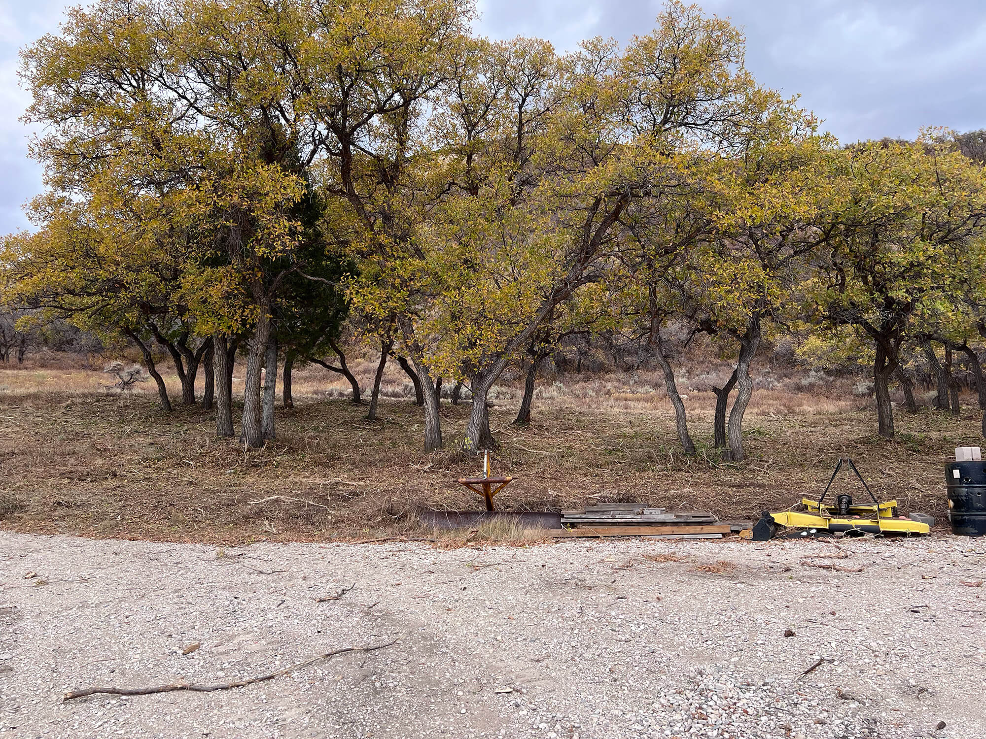 Land Clearing Services in Wasatch County, Utah