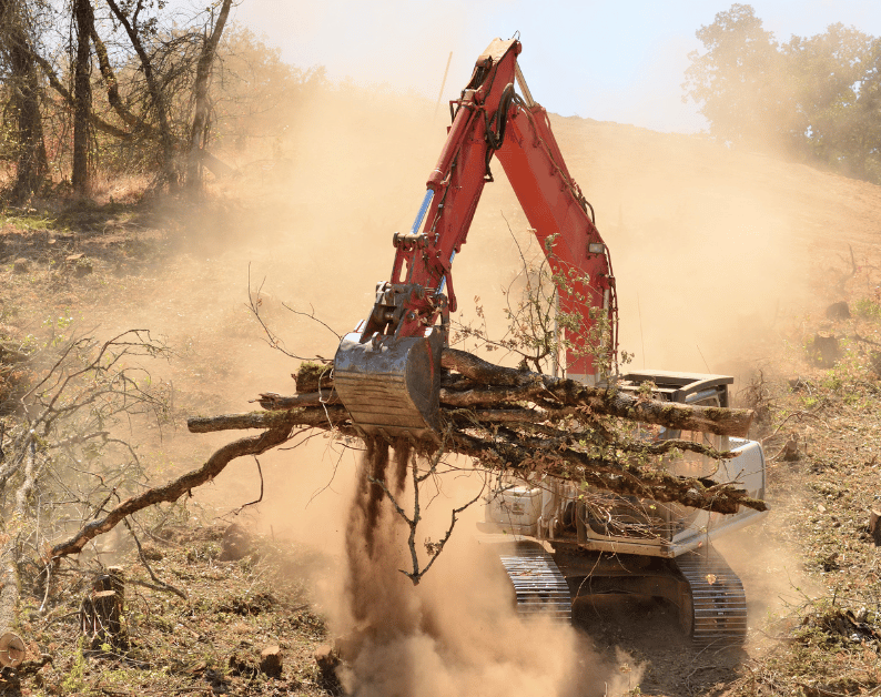Wildlife Management Clearing Services in Utah