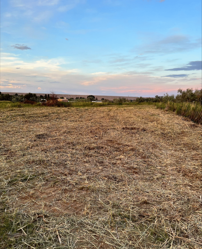 Farmland-Agricultural-Land-Clearing-Utah