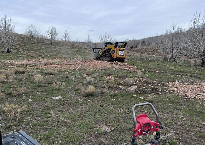 Stump-Grinding-Utah