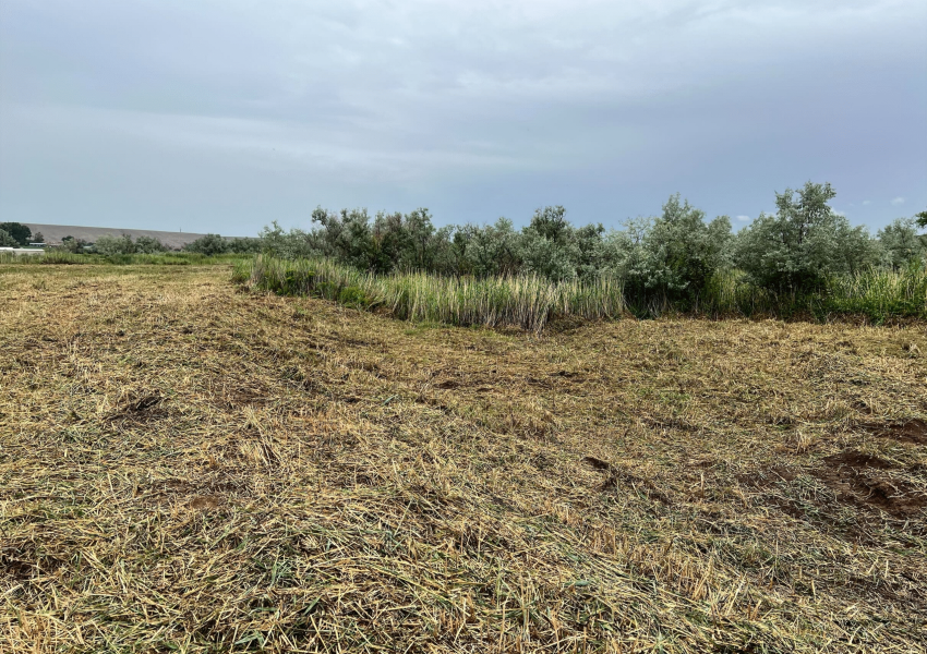 farmland and agricultural clearing
